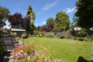 Photo 11- click for photo gallery